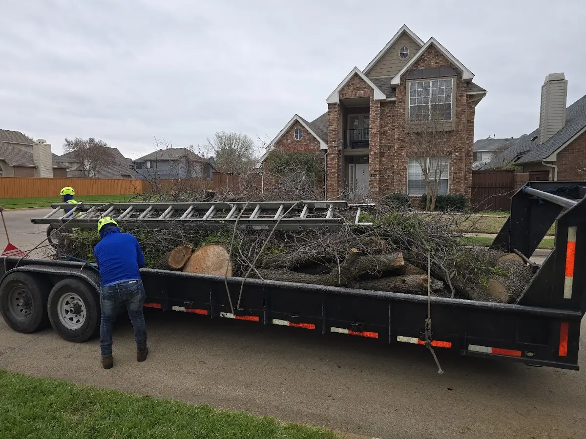 Expert Tree Removal with proper safety equipment in Saint Joseph